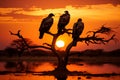 Vultures sitting on a tree at sunset, African eagle silhouette