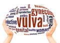 Vulva word cloud hand sphere concept Royalty Free Stock Photo