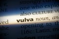 Vulva Royalty Free Stock Photo