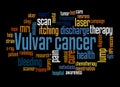 Vulvar cancer word cloud concept 3 Royalty Free Stock Photo