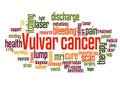 Vulvar cancer word cloud concept 2