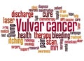 Vulvar cancer word cloud concept