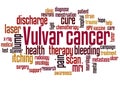Vulvar cancer word cloud concept Royalty Free Stock Photo