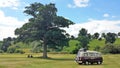 VW Camper Couple Picnic Under a Tree Royalty Free Stock Photo