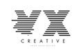 VX V X Zebra Letter Logo Design with Black and White Stripes