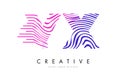VX V X Zebra Lines Letter Logo Design with Magenta Colors