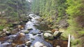 Vydra River, Sumava National Park