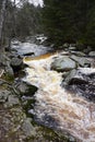 Vydra stream, ÃÂ umava, Czech Republic.