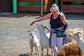 Vyskov, Czech Republic - 4.7.2021: Parents and kids are touching and feeding the goats at small farm