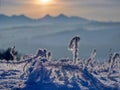 Vysoke Tatry