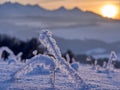 Vysoke Tatry