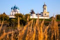 Vysotsky Monastery in the Serpukhov Royalty Free Stock Photo