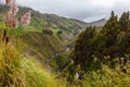 VÃÂ­a Flores, old road from Ambato to Guaranda Royalty Free Stock Photo