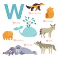 W letter animals set. English alphabet. Vector illustration