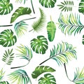 Tropical leafage design pattern