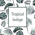 Tropical design leafage text background