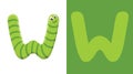 W is for Worm. Letter W. worm, cute illustration. Animal alphabet. Royalty Free Stock Photo