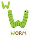 W is for Worm. Letter W. worm, cute illustration. Animal alphabet Royalty Free Stock Photo