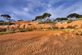 WA Balladonia Arid Soil Red Royalty Free Stock Photo