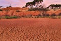 WA Balladonia Dry soil close Royalty Free Stock Photo