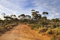 WA Balladonia Outback lit trail Royalty Free Stock Photo