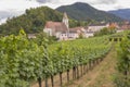 Wachau Valley, Spitz, Austria, vineyards and church