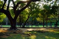 Wachirabenchathat Park or State Railway Public Park is a name of public park in Chatuchak district