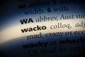 Wacko Royalty Free Stock Photo