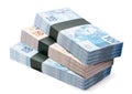 Wad of cash, grand prize, thousands of brazil reais money, concept of savings, income, fortune, bank, wealth, earnings or lottery