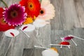 Wadded pads, sticks and cotton flowers on the wooden table against the gray wall. Flowers on a wooden background with wicker stick