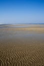 Wadden Sea