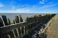 Wadden Sea in Moddergat, the Netherlands Royalty Free Stock Photo