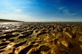 Wadden Sea in Moddergat, the Netherlands Royalty Free Stock Photo