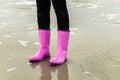 Wadden Sea Pink Rubber Boots Royalty Free Stock Photo