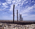 Wadden Sea South of France Camargue Wide Fence Pebble