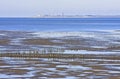 Waddenzee (ebbtide) near Noordkaap, Groningen, Holland Royalty Free Stock Photo