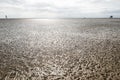 Waddenzee in the Netherlands Royalty Free Stock Photo