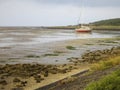 Waddenzee, Wadden Sea Royalty Free Stock Photo