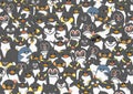 A Waddle of Penguins of Mixed Species