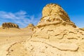 Whale fossil on an eroded bluff along the interpretive trail at Wadi el-Hitan paleontological site