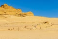 Whale fossil on the interpretive trail at Wadi el-Hitan paleontological site