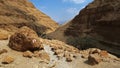 Wadi Arugot in Ein Gedi nature reserve , Israel Royalty Free Stock Photo