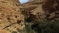 Wadi Arugot in Ein Gedi Nature reserve , Israel Royalty Free Stock Photo