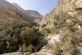Wadi Arugot River, ein Gedi nature reserve, dead sea, Israel Royalty Free Stock Photo