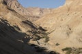 Wadi Arugot River, ein Gedi nature reserve, dead sea, Israel Royalty Free Stock Photo