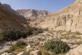 Wadi Arugot River, ein Gedi nature reserve, dead sea, Israel Royalty Free Stock Photo