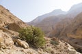 Wadi Arugot River, ein Gedi nature reserve, dead sea, Israel Royalty Free Stock Photo