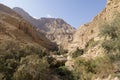 Wadi Arugot River, ein Gedi nature reserve, dead sea, Israel Royalty Free Stock Photo