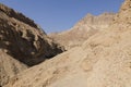 Wadi Arugot River, ein Gedi nature reserve, dead sea Royalty Free Stock Photo