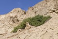 Wadi Arugot River, ein Gedi nature reserve, dead sea Royalty Free Stock Photo